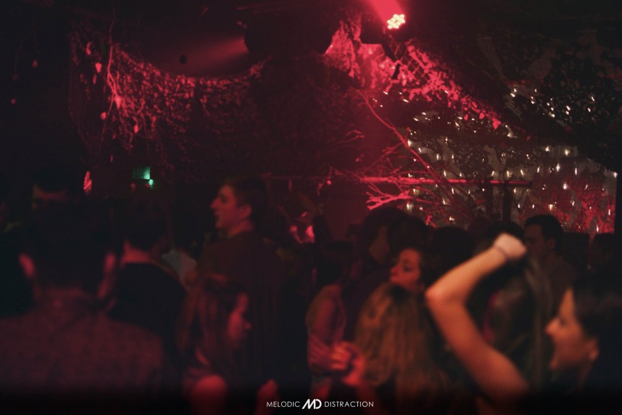 Melodic Distraction Winter Party