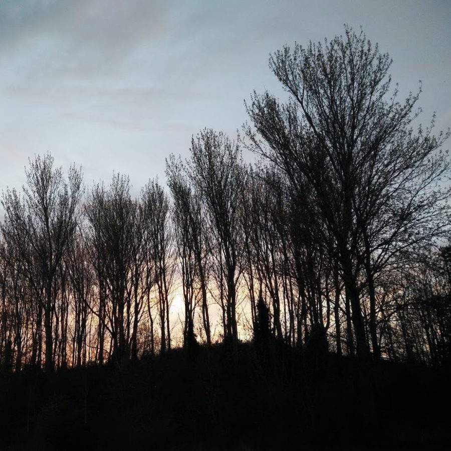 Melodic Selections: Songs for Walking Around Sefton Park Early on a Frosty Morning on Your Own