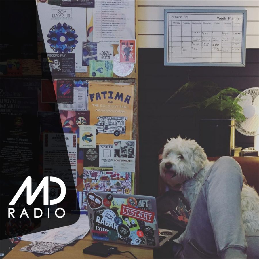 We’re Looking For Volunteers!