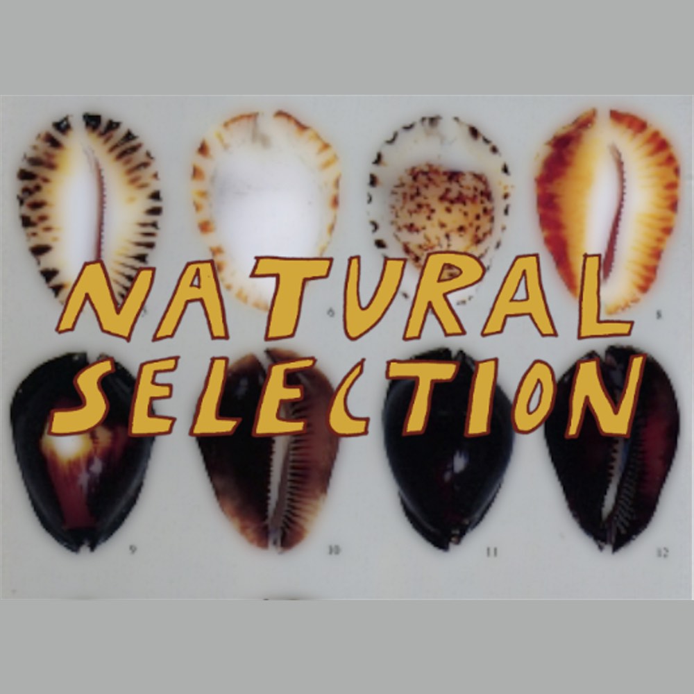 June 2019 Plain Natural Selection